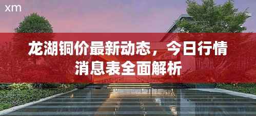 龙湖铜价最新动态，今日行情消息表全面解析