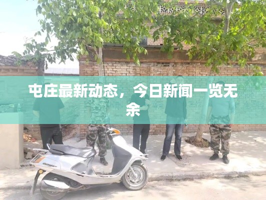 屯庄最新动态,今日新闻一览无余