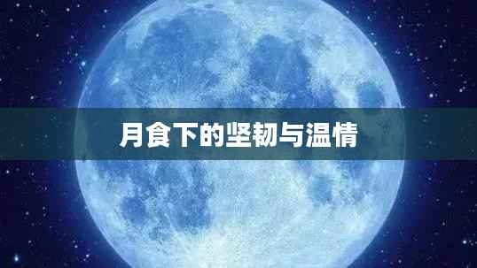 月食下的坚韧与温情