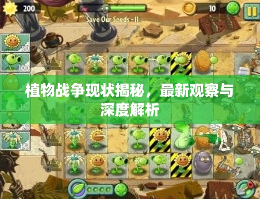 植物战争现状揭秘，最新观察与深度解析