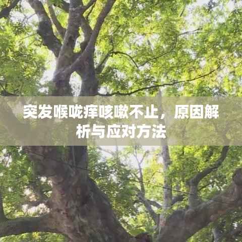 突发喉咙痒咳嗽不止,原因解析与应对方法