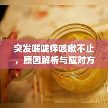 突发喉咙痒咳嗽不止,原因解析与应对方法
