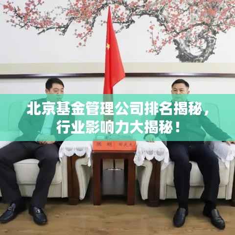 北京基金管理公司排名揭秘，行业影响力大揭秘！