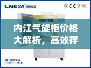 内江气旋柜价格大解析，高效存储，实惠之选！