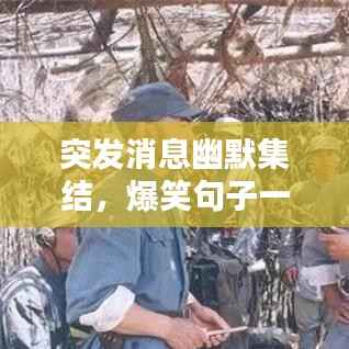 突发消息幽默集结，爆笑句子一网打尽