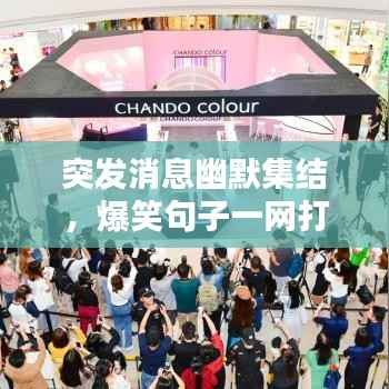 突发消息幽默集结,爆笑句子一网打尽