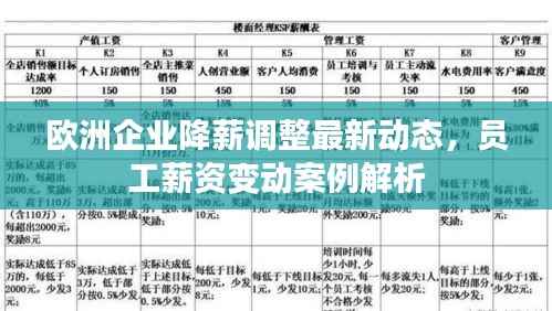 欧洲企业降薪调整最新动态，员工薪资变动案例解析