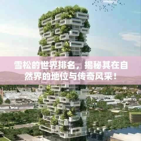 雪松的世界排名，揭秘其在自然界的地位与传奇风采！