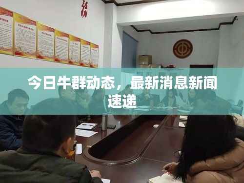 今日牛群动态，最新消息新闻速递