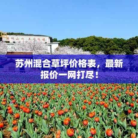 苏州混合草坪价格表,最新报价一网打尽!