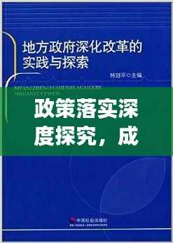 政策落实深度探究，成效与未来展望