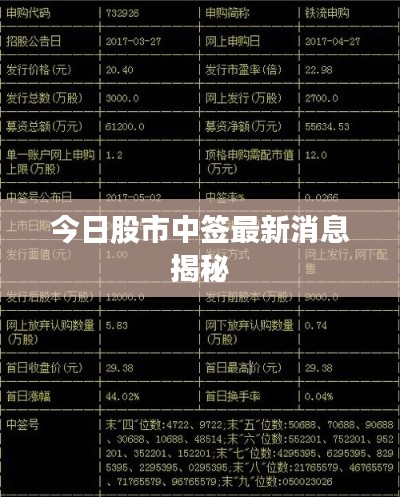 今日股市中签最新消息揭秘