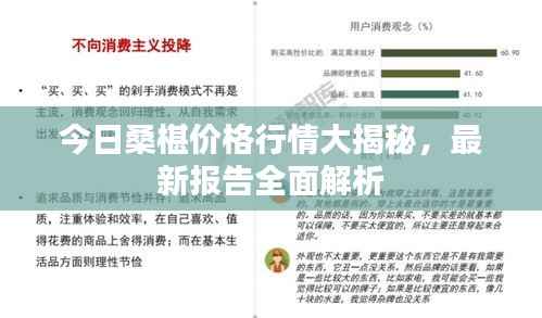 今日桑椹价格行情大揭秘，最新报告全面解析