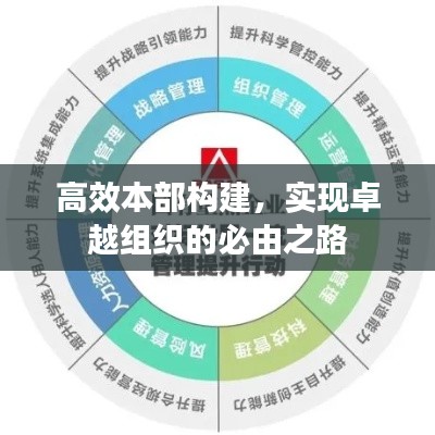 高效本部构建,实现卓越组织的必由之路