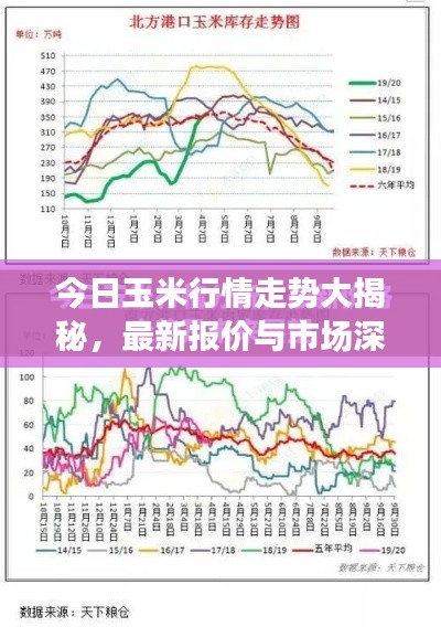今日玉米行情走势大揭秘，最新报价与市场深度解析