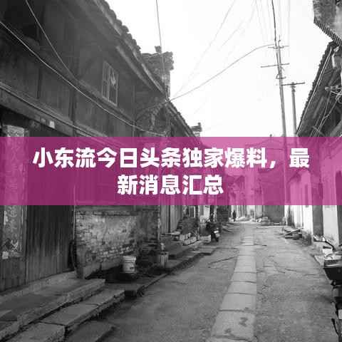 小东流今日头条独家爆料，最新消息汇总