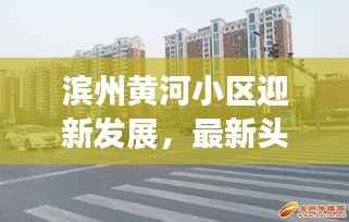 滨州黄河小区迎新发展，最新头条新闻揭秘小区新面貌
