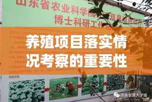 养殖项目落实情况考察的重要性及其深远影响分析