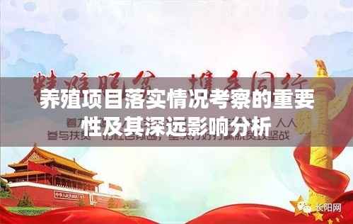 养殖项目落实情况考察的重要性及其深远影响分析