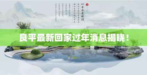 良平最新回家过年消息揭晓！