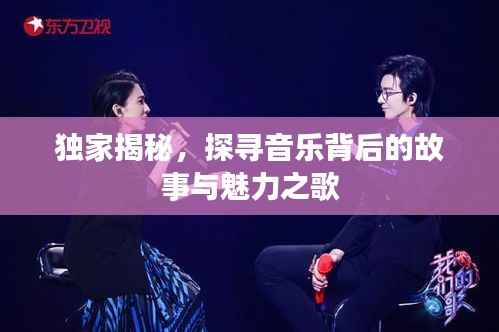 独家揭秘，探寻音乐背后的故事与魅力之歌