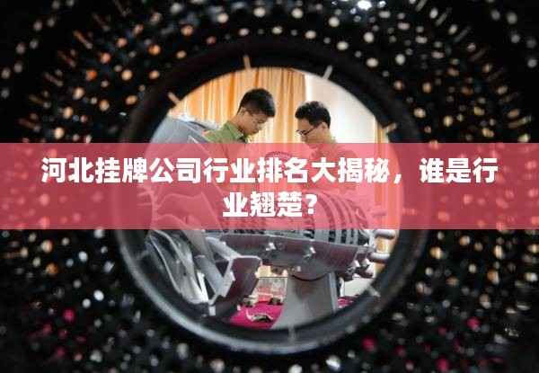 河北挂牌公司行业排名大揭秘，谁是行业翘楚？