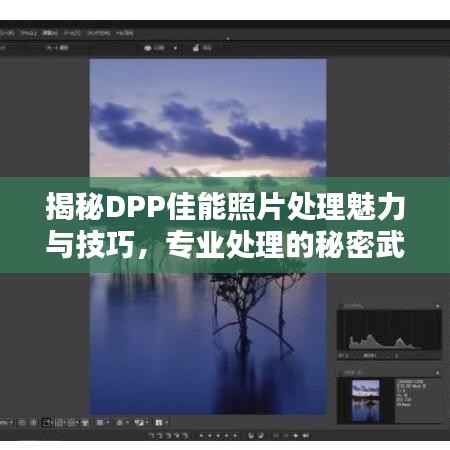 揭秘DPP佳能照片处理魅力与技巧,专业处理的秘密武器