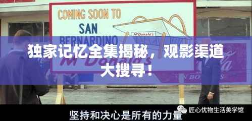 独家记忆全集揭秘,观影渠道大搜寻!