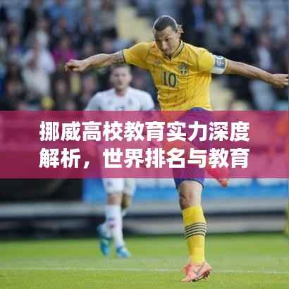 挪威高校教育实力深度解析,世界排名与教育特色探究