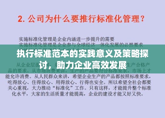 执行标准范本的实践意义及策略探讨,助力企业高效发展