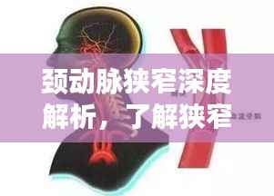 颈动脉狭窄深度解析，了解狭窄成因与防治策略