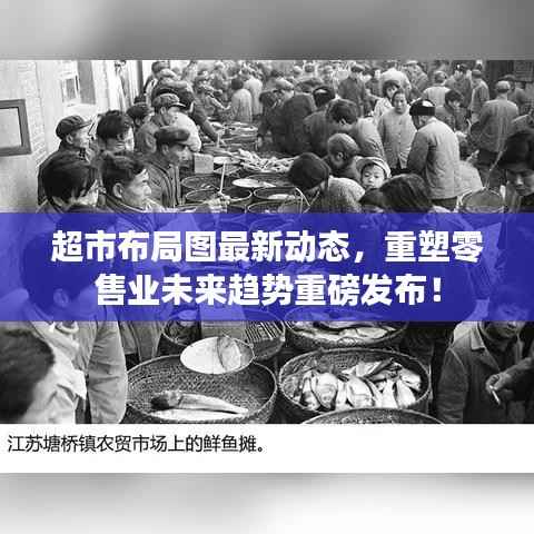 超市布局图最新动态，重塑零售业未来趋势重磅发布！