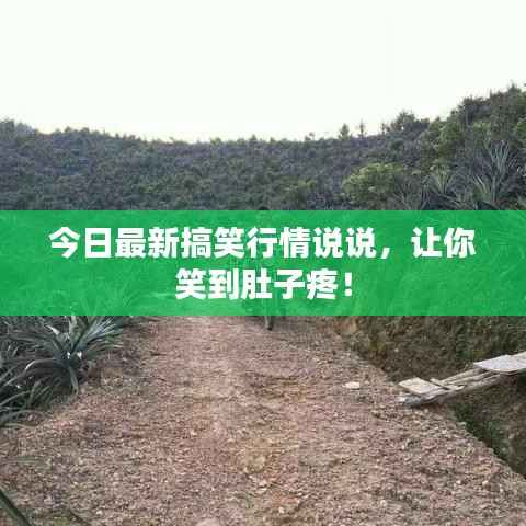 今日最新搞笑行情说说，让你笑到肚子疼！