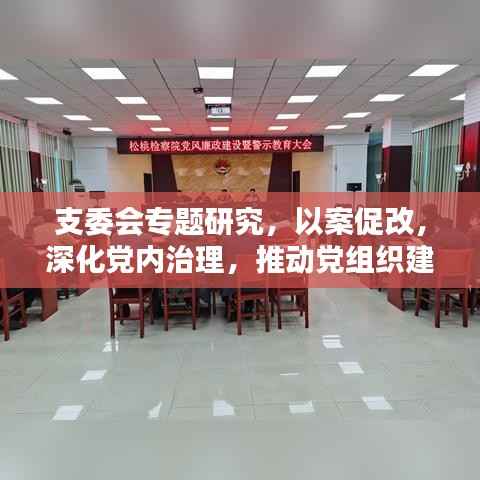 支委会专题研究，以案促改，深化党内治理，推动党组织建设再上新台阶