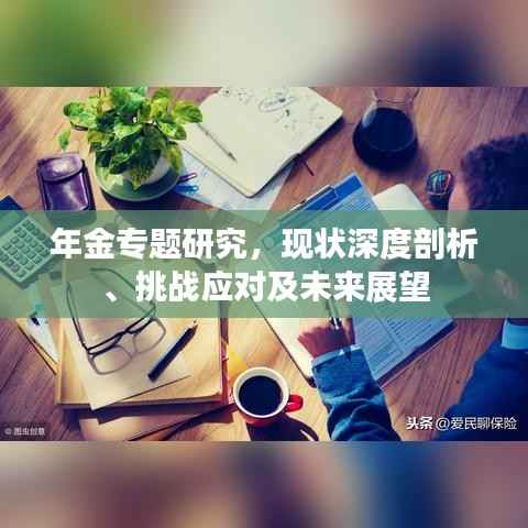 年金专题研究,现状深度剖析、挑战应对及未来展望