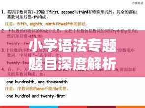 小学语法专题题目深度解析