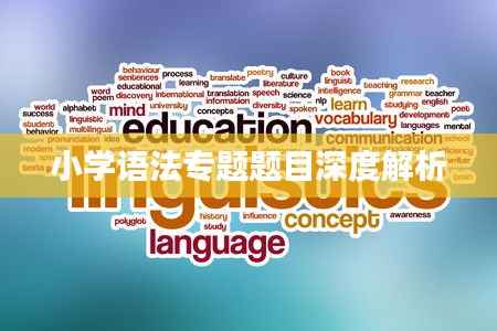 小学语法专题题目深度解析