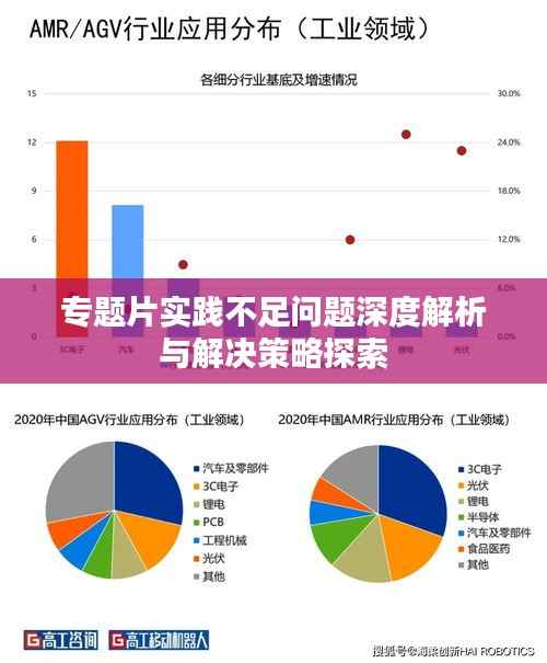 专题片实践不足问题深度解析与解决策略探索