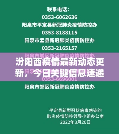 汾阳西疫情最新动态更新，今日关键信息速递