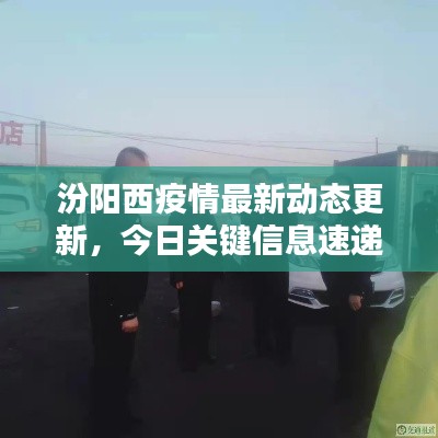 汾阳西疫情最新动态更新,今日关键信息速递