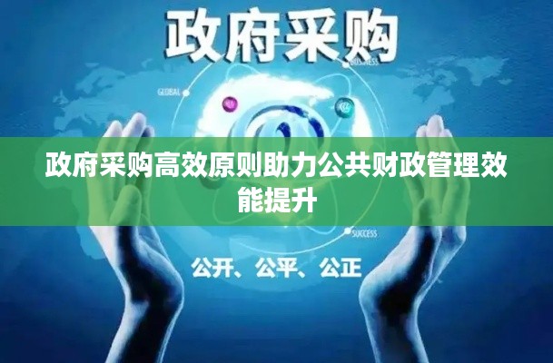 政府采购高效原则助力公共财政管理效能提升