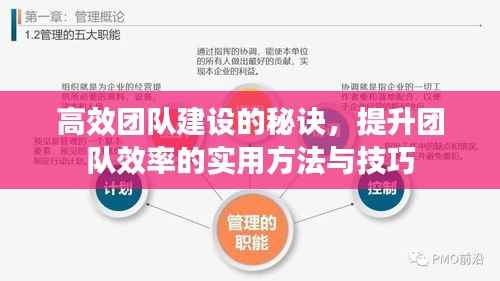 高效团队建设的秘诀，提升团队效率的实用方法与技巧