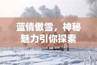 蓝倩傲雪，神秘魅力引你探索