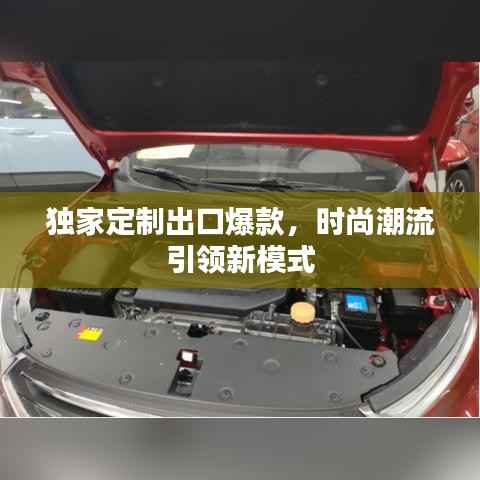 独家定制出口爆款，时尚潮流引领新模式