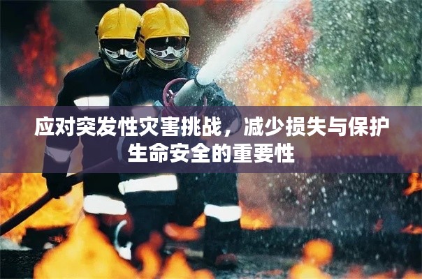 应对突发性灾害挑战，减少损失与保护生命安全的重要性