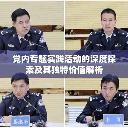 党内专题实践活动的深度探索及其独特价值解析
