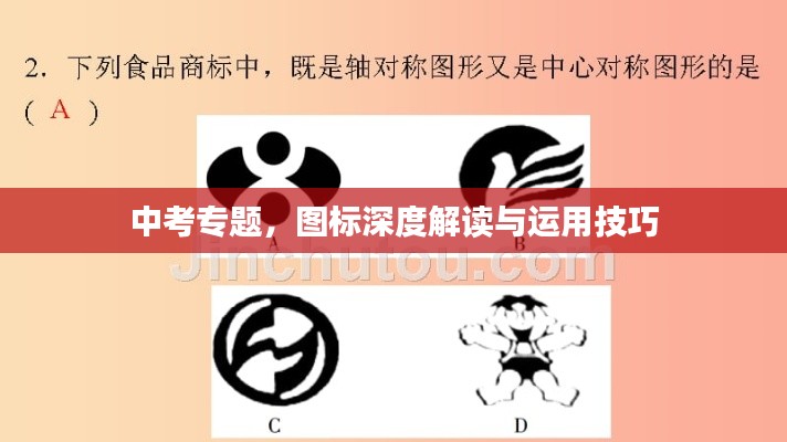 中考专题,图标深度解读与运用技巧