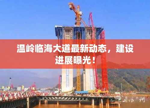 温岭临海大道最新动态，建设进展曝光！