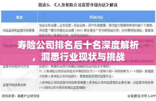 寿险公司排名后十名深度解析，洞悉行业现状与挑战