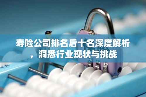 寿险公司排名后十名深度解析,洞悉行业现状与挑战